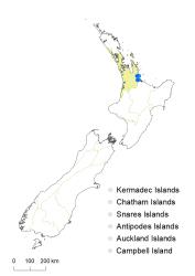 Veronica calycina distribution map based on databased records at AK, CHR & WELT.
 Image: K. Boardman © Landcare Research 2022 CC-BY 4.0